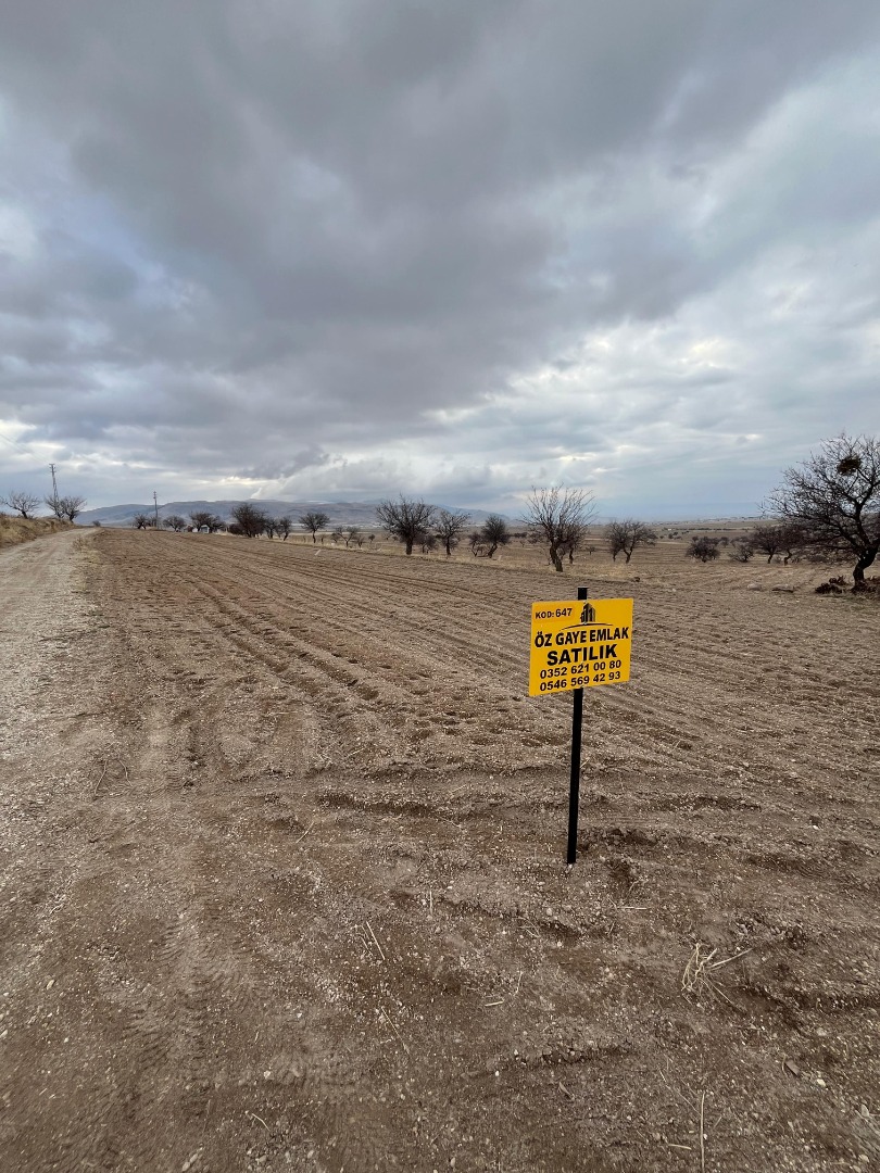 KAYSERİ DEVELİ ÇOMAKLI MAHALLESİ YAPRAKLIBURUN MEVKİİNDE SATILIK BAĞ YERİ